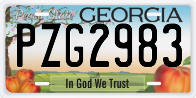GA license plate PZG2983