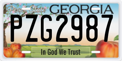 GA license plate PZG2987