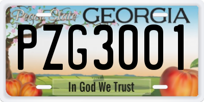 GA license plate PZG3001