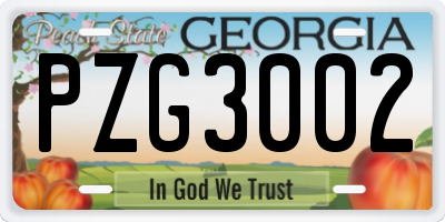 GA license plate PZG3002