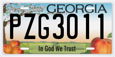 GA license plate PZG3011