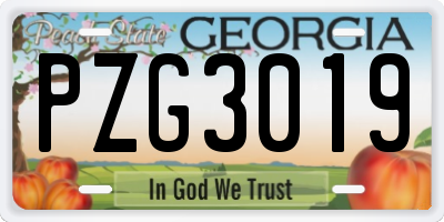GA license plate PZG3019