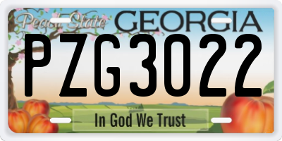 GA license plate PZG3022