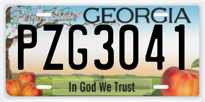 GA license plate PZG3041