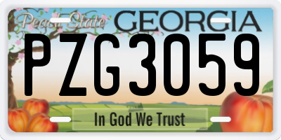 GA license plate PZG3059