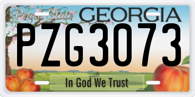 GA license plate PZG3073
