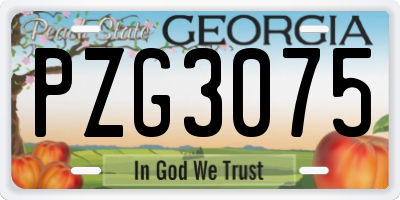 GA license plate PZG3075
