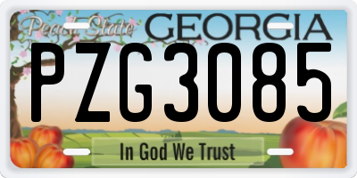 GA license plate PZG3085