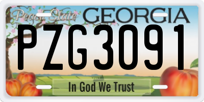 GA license plate PZG3091