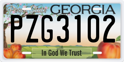 GA license plate PZG3102