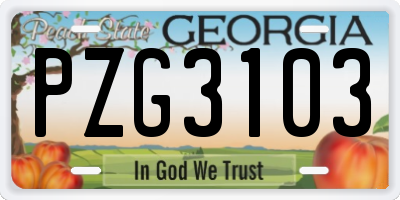 GA license plate PZG3103