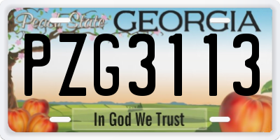 GA license plate PZG3113