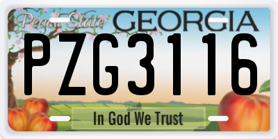 GA license plate PZG3116