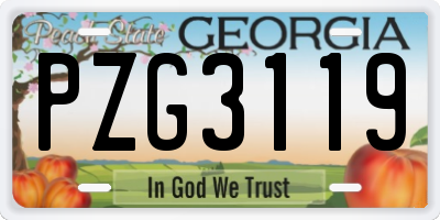 GA license plate PZG3119