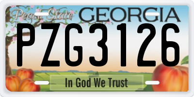 GA license plate PZG3126