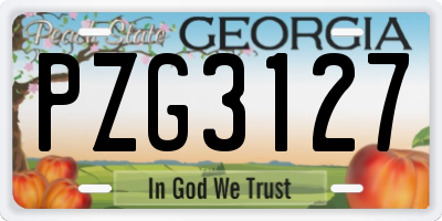 GA license plate PZG3127