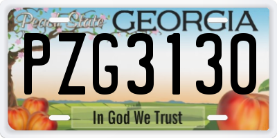GA license plate PZG3130