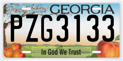 GA license plate PZG3133