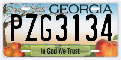 GA license plate PZG3134