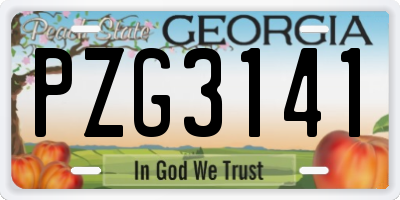 GA license plate PZG3141