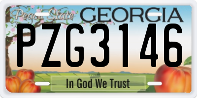 GA license plate PZG3146
