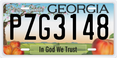 GA license plate PZG3148