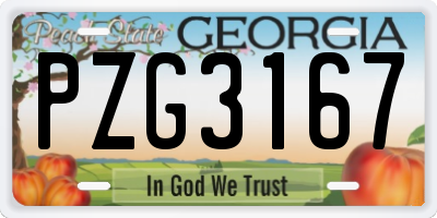 GA license plate PZG3167