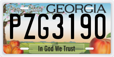GA license plate PZG3190