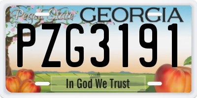 GA license plate PZG3191