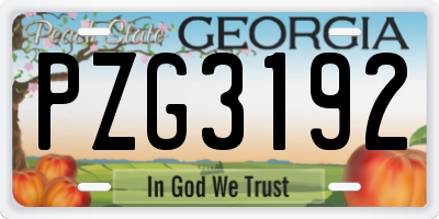 GA license plate PZG3192