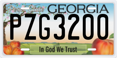 GA license plate PZG3200
