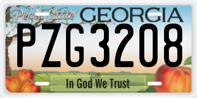 GA license plate PZG3208