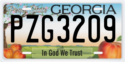 GA license plate PZG3209