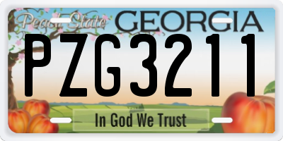 GA license plate PZG3211