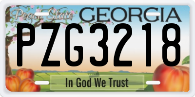 GA license plate PZG3218