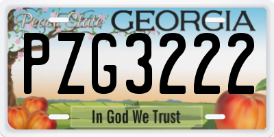 GA license plate PZG3222