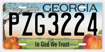 GA license plate PZG3224