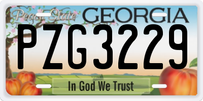 GA license plate PZG3229