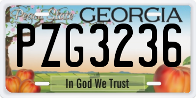 GA license plate PZG3236
