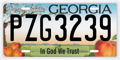 GA license plate PZG3239