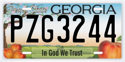 GA license plate PZG3244