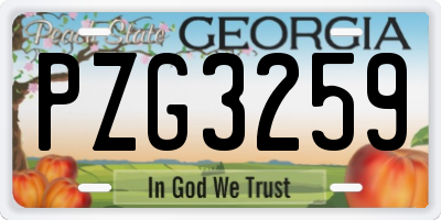GA license plate PZG3259