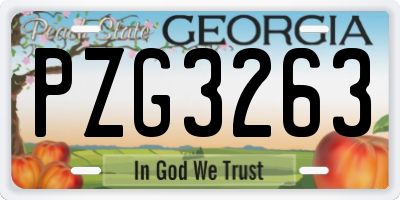 GA license plate PZG3263