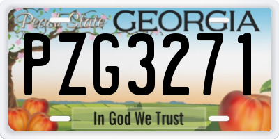 GA license plate PZG3271