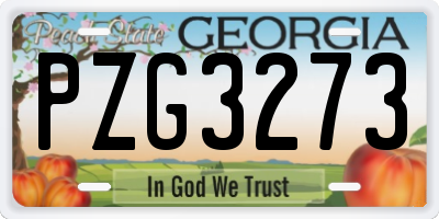 GA license plate PZG3273
