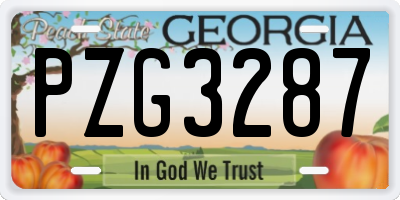 GA license plate PZG3287
