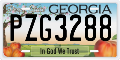 GA license plate PZG3288