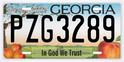 GA license plate PZG3289
