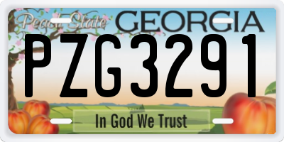 GA license plate PZG3291