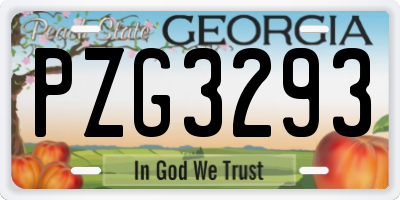 GA license plate PZG3293